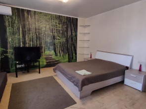 Апартаменты Kvartal на Неделина полустудия