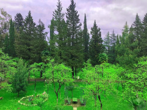 Отель Park Hotel Imeri