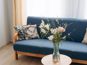 Dom U Parka Sortavala Guest house