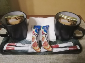 Гостевой дом Саквояж