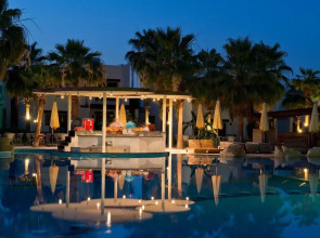 Amphoras Aqua Adults Friendly