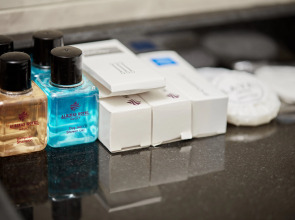 Albinas Hotel Old City