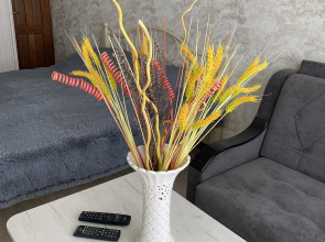 Апартаменты Посуточная Аренда квартир во Владикавказе