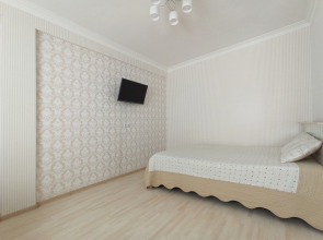 Апартаменты Ярославская 72 (12)