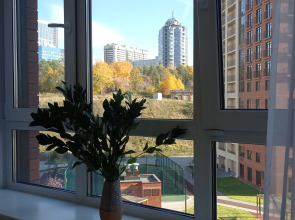 Апартаменты Бобродом Центр правого берега