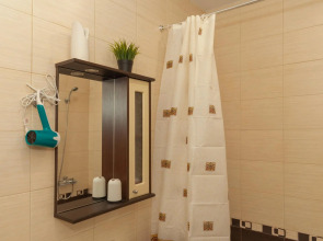 Апартаменты однокомнатные (137) Серебровская 91