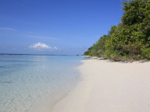 Отель Boutique Beach All Inclusive Diving