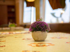 Хостел Белояръ