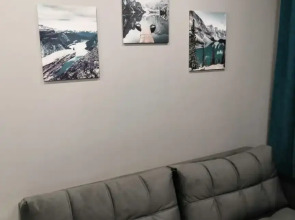 Квартира Олимпийская 87-27