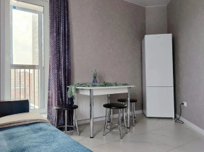 Квартира на улице Семьи Шамшиных 77