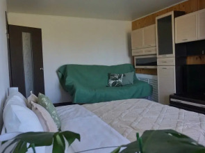 Квартира Однушка в историческом центре