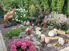 Гостевой дом Biography