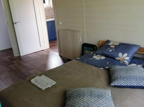 Глэмпинг Папоротник