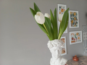 Квартира Уютная студия недалеко от центра Калининграда