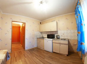 Апартаменты  Эконом на Мельничной 24-3