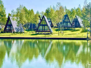 Nekrasovo Recreation camp
