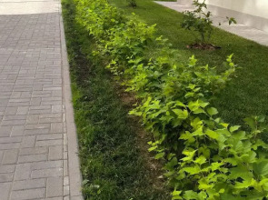 Квартира ЕвроДвушка В Самом Сердце Ярославля