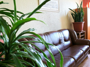 Отель Родина