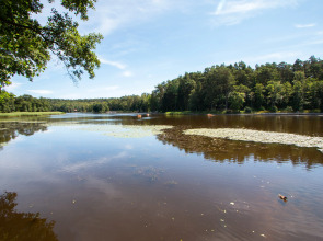 Апартаменты Lake City Sea Style