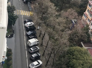 Апартаменты  Сочипосуточно