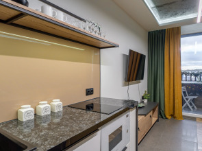 Апартаменты Baden Loft