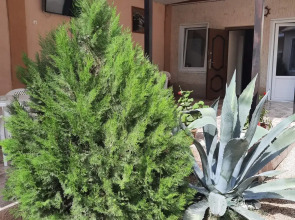 Жилое помещение Гавайи