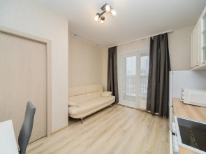 Квартира ЖК Гулливер