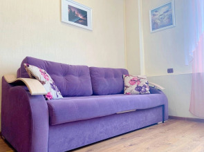 Апартаменты ул. 850-Летия Владимира