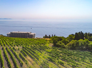 Отель Виола