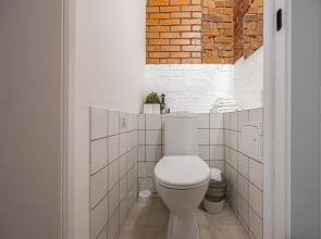 Апартаменты Большие апартаменты для семьи и компании