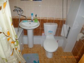 Апартаменты Виктория на Советской 69