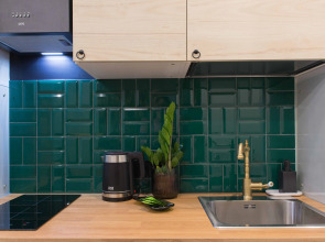 Апартаменты Rasko Home Кристальный Лес возле ЖД вокзала 7 мин до центра