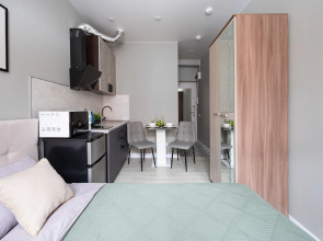 Апартаменты Уютная 2-х местная студия м.Нижегородская