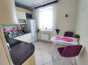 Апартаменты Welcome Karelia  Мичуринская 48