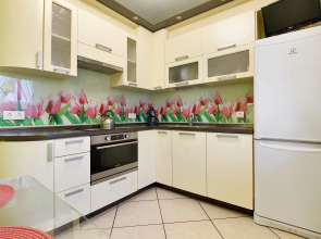 Апартаменты Welcome Karelia  Мичуринская 48