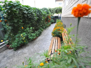 Anafoliya Guest House