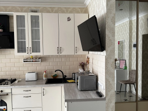 Квартира VIP Апартаменты