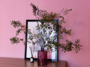 Апартаменты Малиновый Дайкири