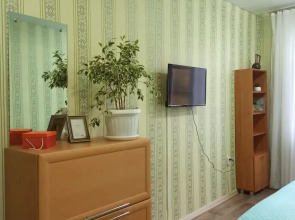 Апартаменты Четырехкомнатная квартира на Димитрова 4