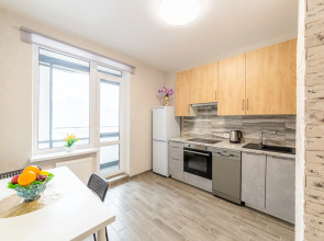 Апартаменты 1кк на Фрунзенской