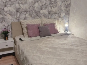 Komfortabelnaya Kvartira Dlya 4-Kh Gostey Flat