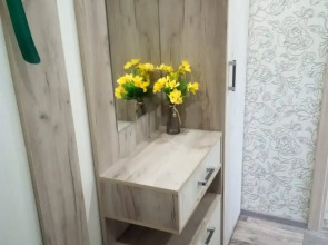 Апартаменты с джакузи на Красноармейском пер. 5