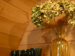 База отдыха Робин Гуд