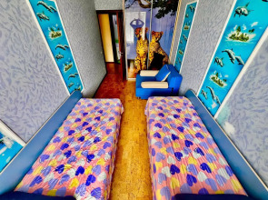 Апартаменты 3кв Центр ТРЦ Гудвин Максима Горького 59