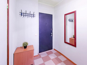 Апартаменты Inndays on Varshavskaya