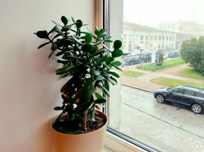 Квартира в Финском Доме возле Красной Площади и Библиотеки Аалто