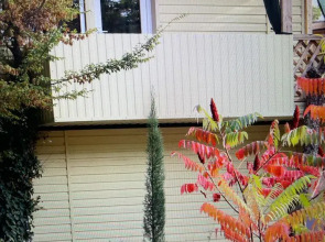 Дом с Енотами  Надежда