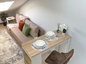 Dushevnaya Studiya - Mansarda V Tsentre Lomonosova Apartments