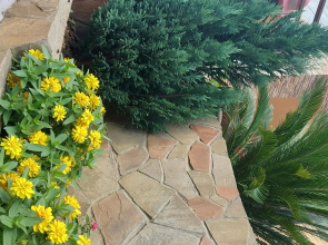 Гостевой дом Aelita