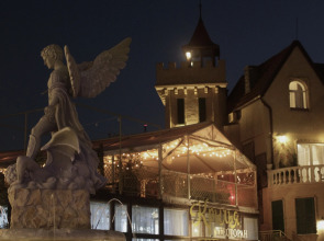 Отель Крылья